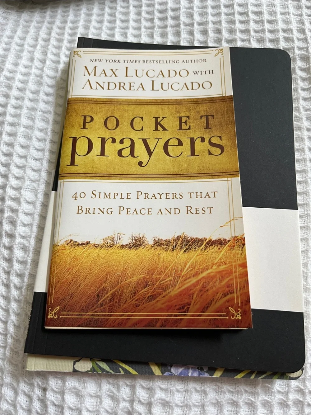 Bible Journal, Pocket Prayers by Max Lucado - prayer journal. Faith stickers
